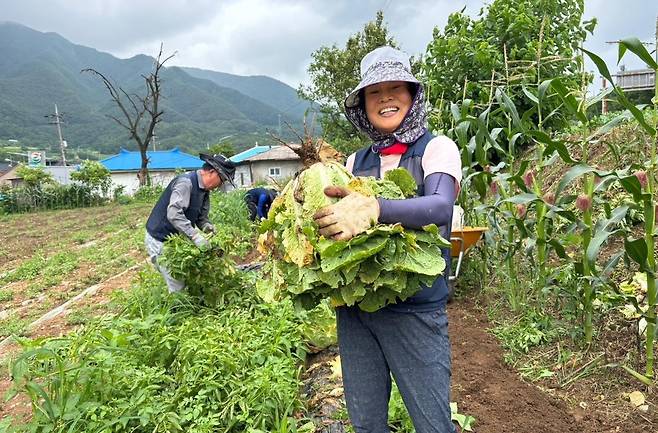 '단양에서 살아보기' 참가한 도시민 [단양군 제공. 재판매 및 DB금지]
