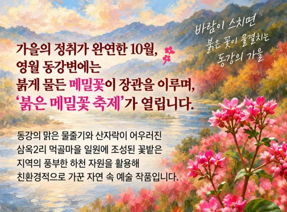 [자료 제공 영월군. 재판매 및 DB 금지]